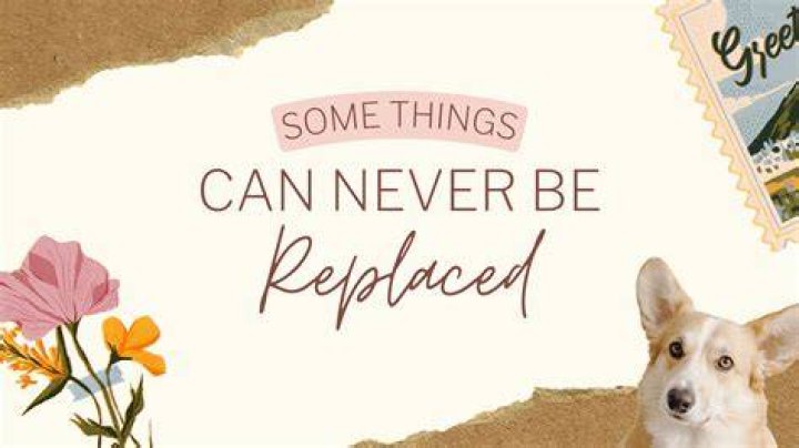'I Can Never Be Replaced'