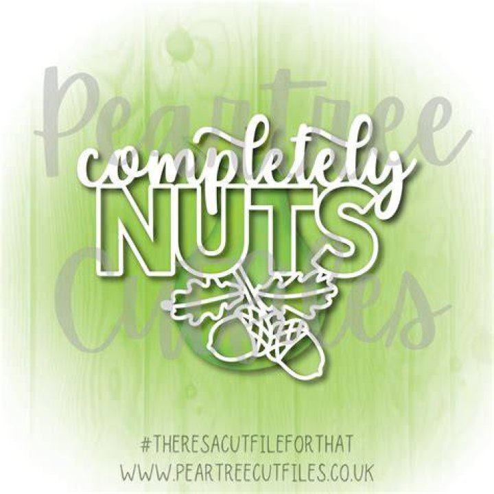 'I Just Went Completely Nuts'