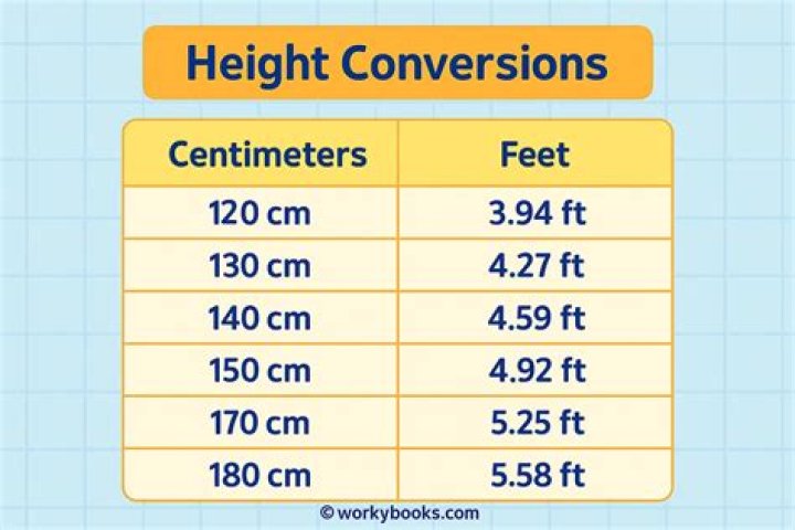 100 cm to feet 100 cm in feet