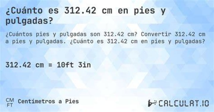 312 cm to feet 312 cm in feet