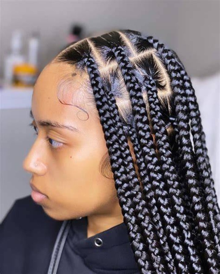 60 New Knotless Box Braids Ideas For 2024 ThriveNaija Box braids