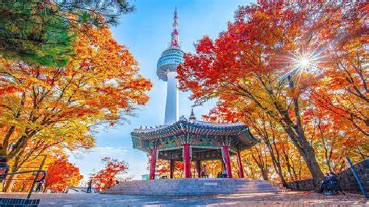 A DAY IN KOREA W/ MY GRANDPARENTS!! seeing them for the first time in