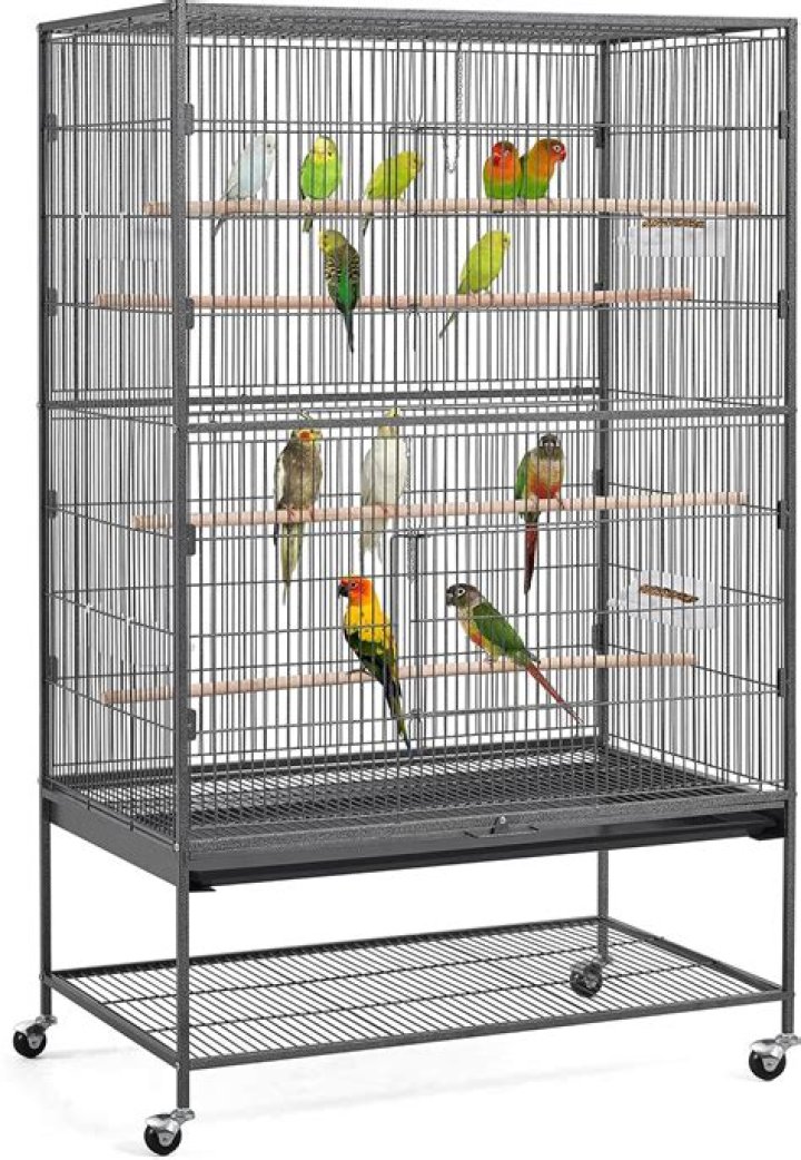 Cage
