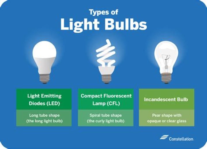 Can you force bulbs more than once?
