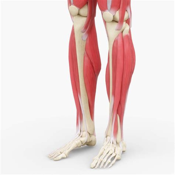 Clothing, Leg, Human body, Human leg, Shoe, Red, Balloon, Dress, High heels, Bag, Clothing, Leg, Human body, Human leg, Shoe, Red, Balloon, Dress, High heels, Bag,