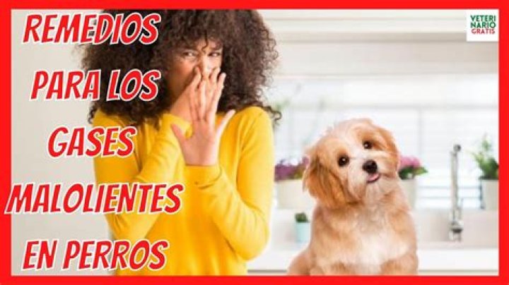 como aliviar los gases en la regla