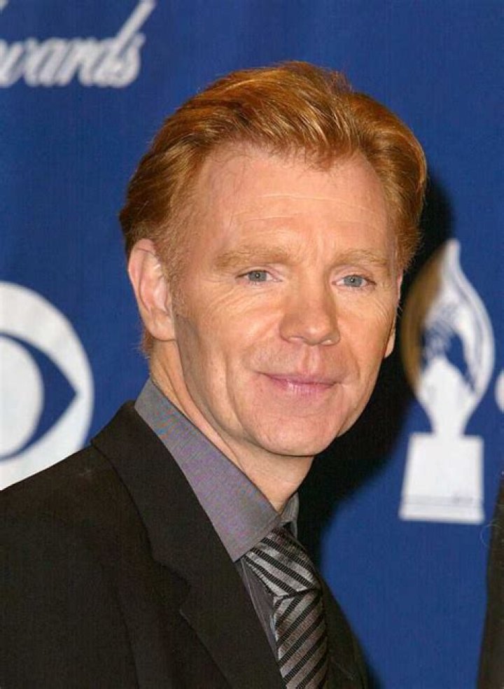 David Caruso bio Spouse, net worth, children, where is he now? Legit.ng
