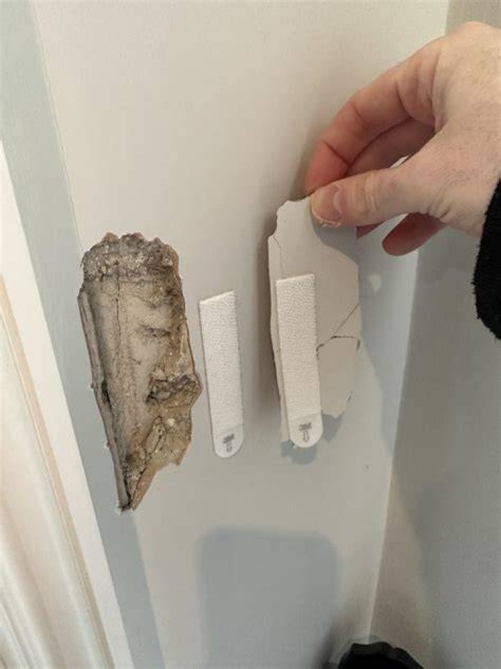 Do Command Strips work on concrete walls?