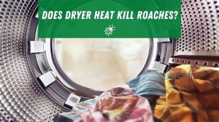 Does dryer heat kill roaches?