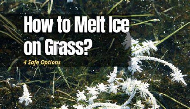Does ice melt kill grass?