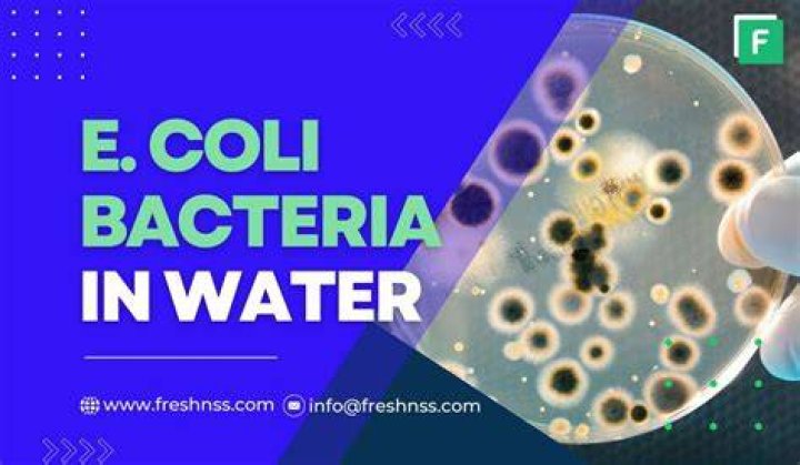 Does steaming kill E coli?