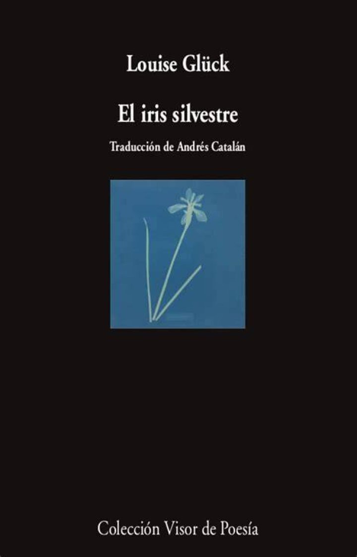 El iris silvestre El iris silvestre