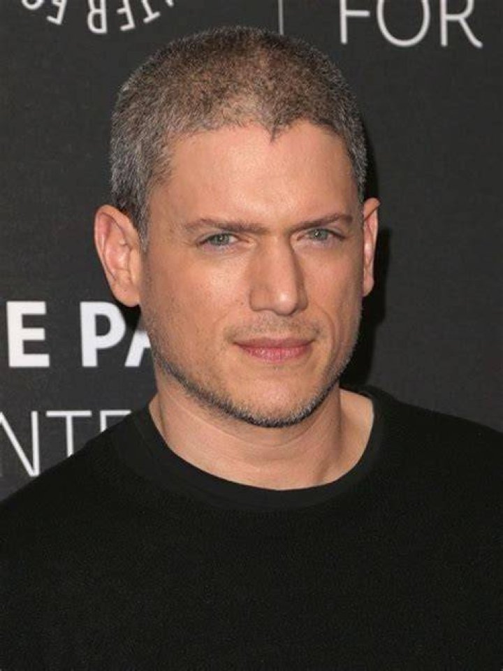 Exploring Wentworth Miller's Family His Wife And Kids