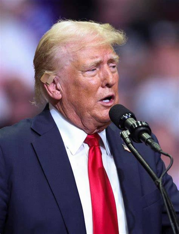 Fabricated post claims Trump lost 'whole ear' in shooting Fact check