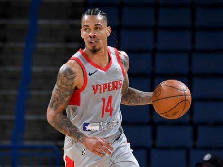 Gerald Green Image
