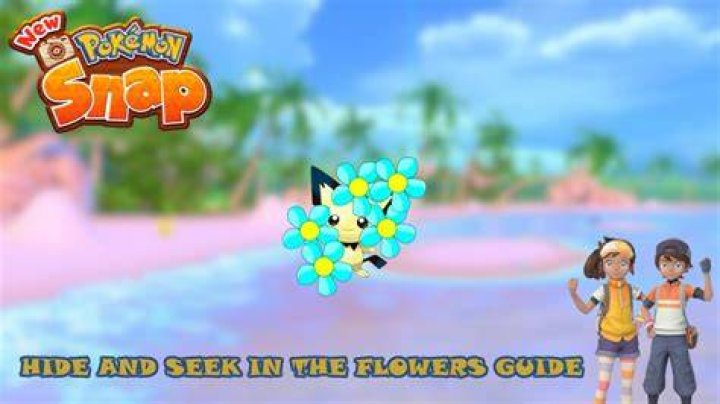 Hide and Seek in the Flowers Request Guide