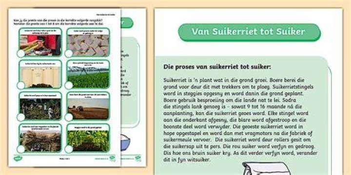 Hoe Is Suiker Gemaakt? (Best solution)