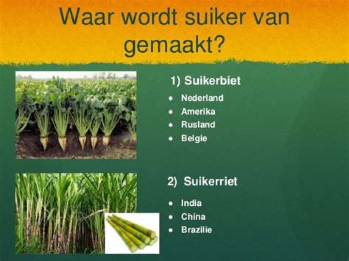 Hoe Word Suiker Gemaakt? (Best solution)