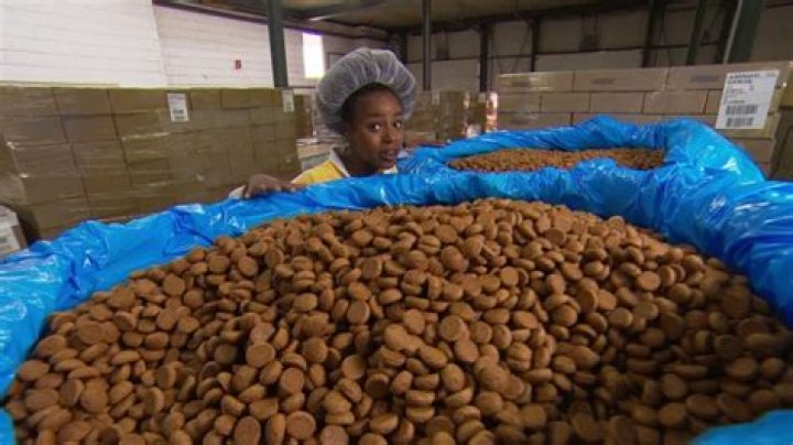 Hoe Worden Chocolade Pepernoten Gemaakt? (Solution found)