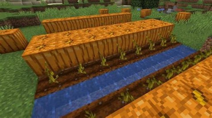 How do pumpkins grow in Minecraft?
