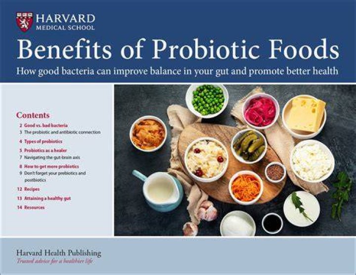 How do you fly with probiotics?