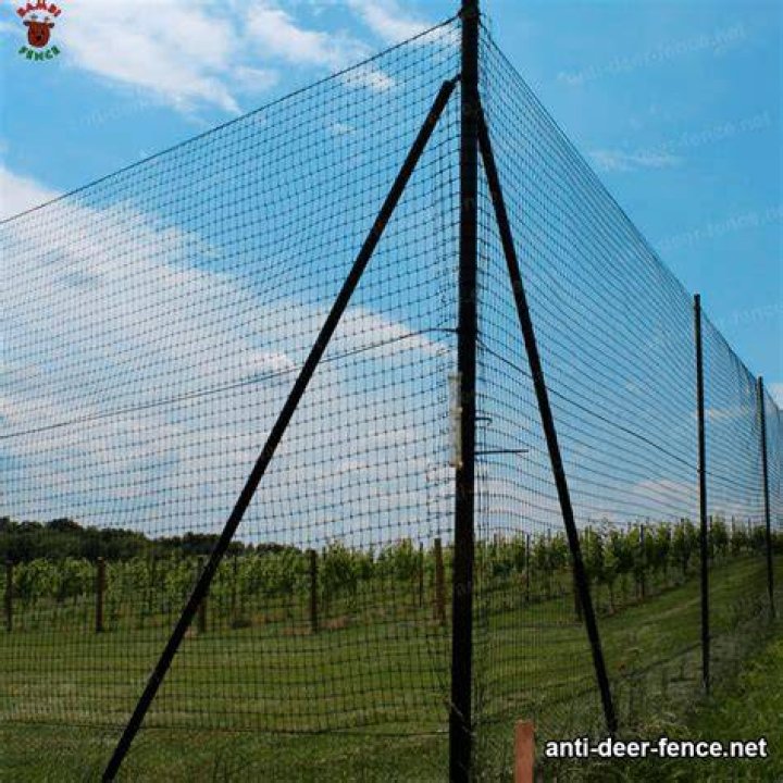 How do you secure deer netting?