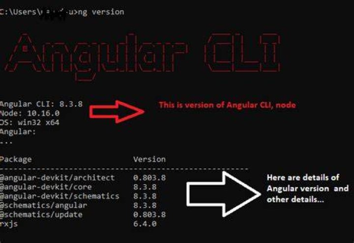 How install angular CLI locally and globally?