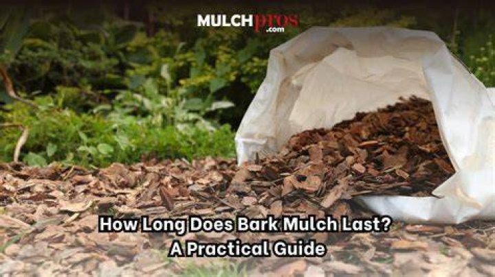 How long does it take mulch to break down?