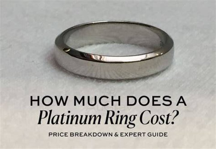 How much does a platinum rebuild cost?