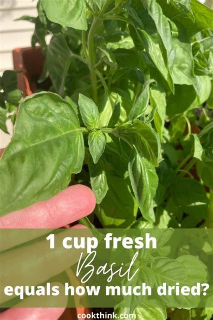 How much dried basil is the same as 1/4 cup fresh basil?