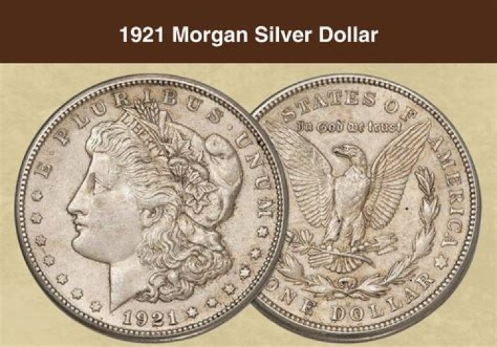 How much is Morgan Beck worth?
