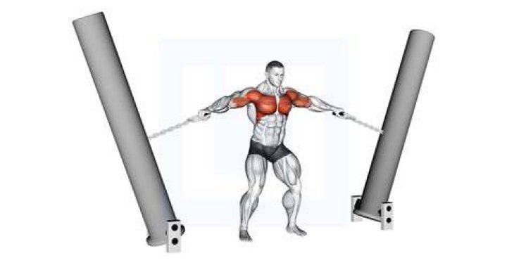 How much weight will a Hercules hook hold?