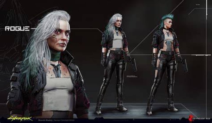 How old is rogue cyberpunk?