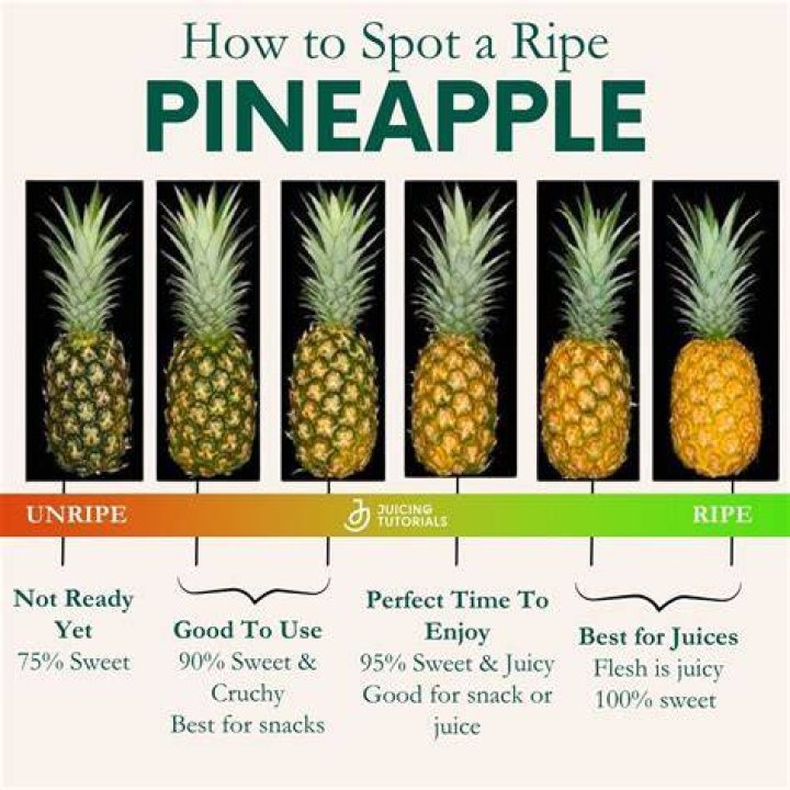 How Ro Tel When A Pinapple In Ripe? (Question)