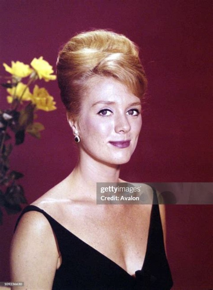 Inger Stevens Inger stevens, Hollywood, Beauty