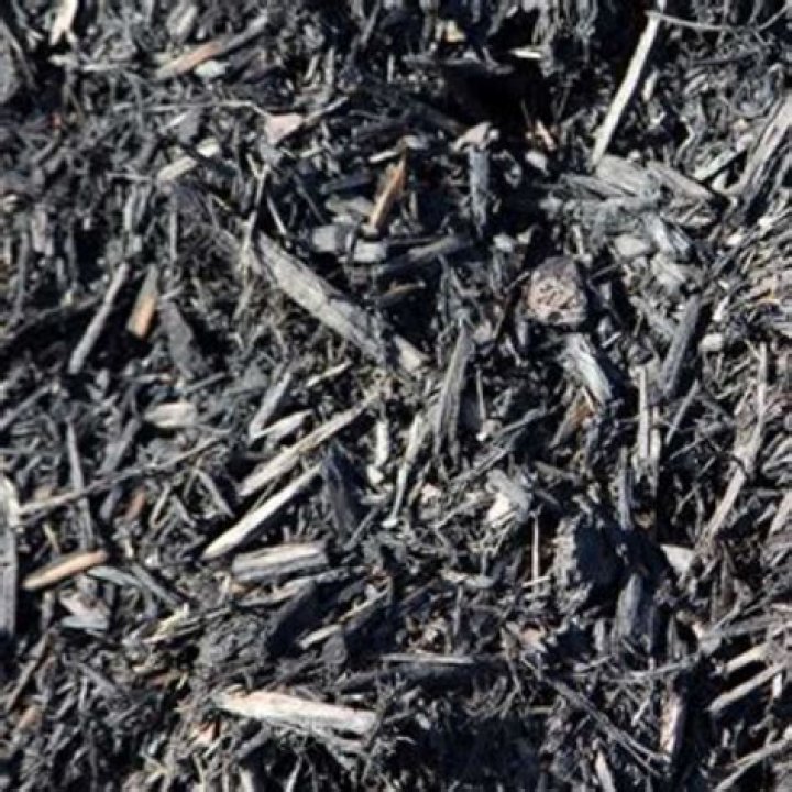 Is black mulch bad for plants?