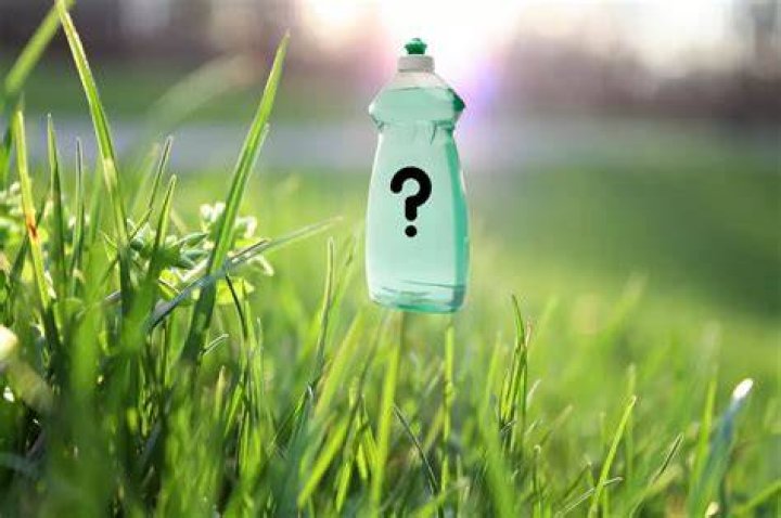 Is dish soap good for lawns?