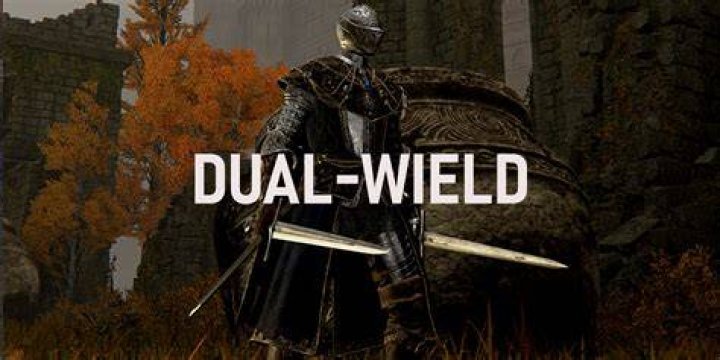 Is dual wielding bad in Elden ring?