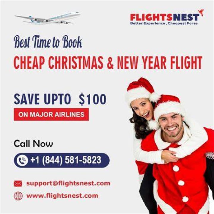 Is Flightsnest Legit?