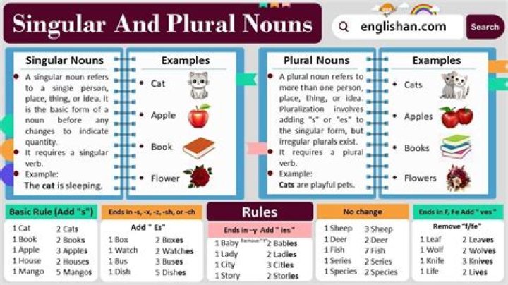 Is nares singular or plural?