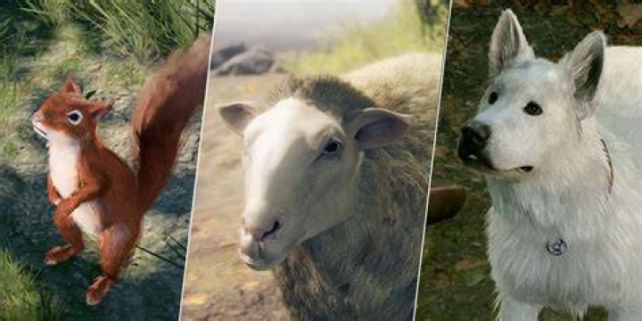 Is Talking to animals worth it BG3?