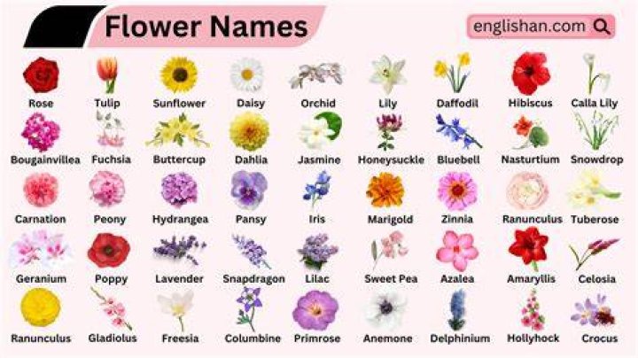 Is there a flower named Margaret?