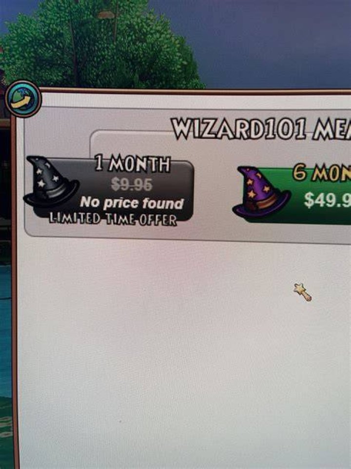 Is Wizard101 a monthly subscription?