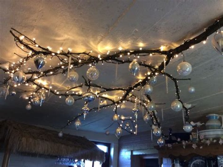 Lighting, Branch, Tree, Christmas tree, Christmas, Christmas ornament, Interior design, Sphere, Winter, Plant, Lighting, Branch, Tree, Christmas tree, Christmas, Christmas ornament, Interior design, Sphere, Winter, Plant,