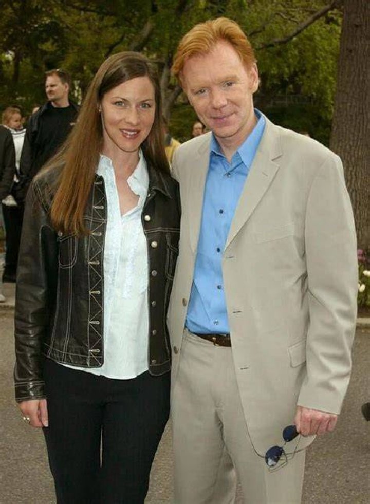 &lsquo;CSI&rsquo;s David Caruso Was Married 3 Times & None of Marriages Was Saved