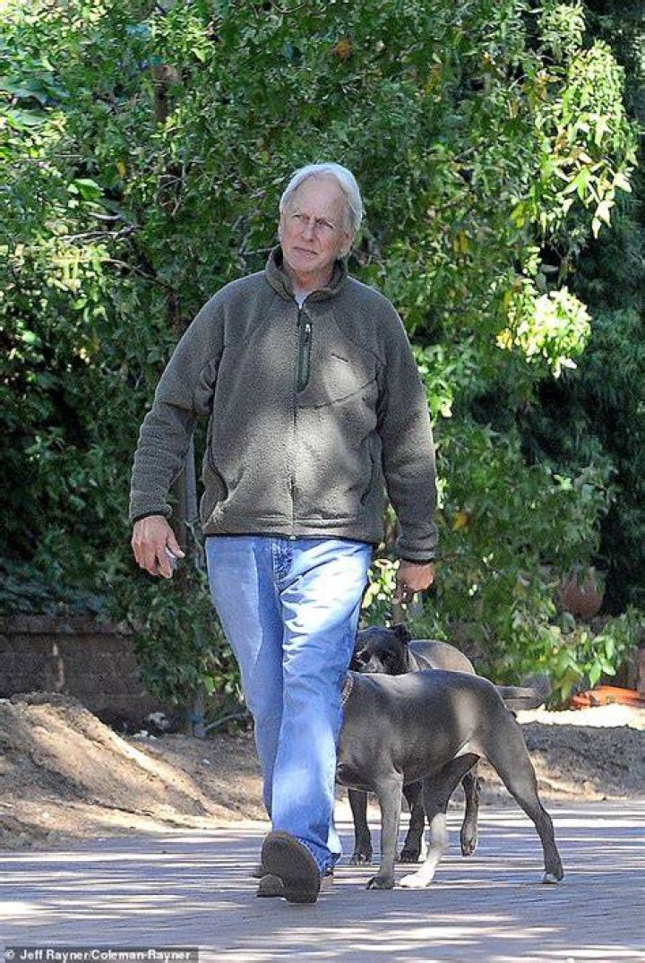 Mark Harmon spotted walking his dog for the first time since leaving