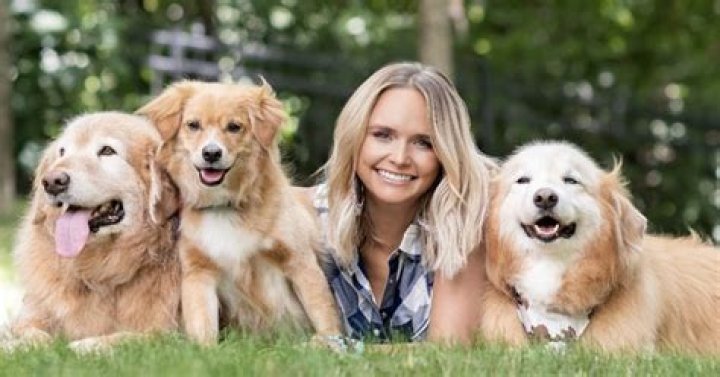 Miranda Lambert dogs