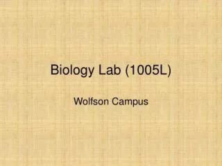PPT Biology Lab (1005L) PowerPoint Presentation, free download ID