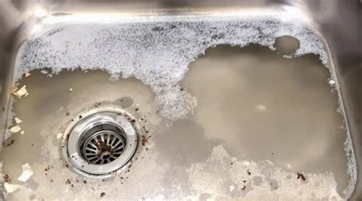 Question: How Do You Clear A Clogged Kitchen Sink??