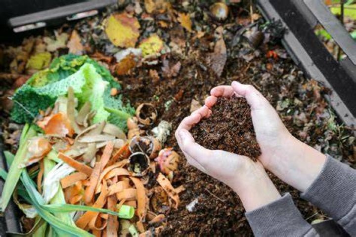 Quick Answer: How Do You Make Compost Out Of Kitchen Waste??